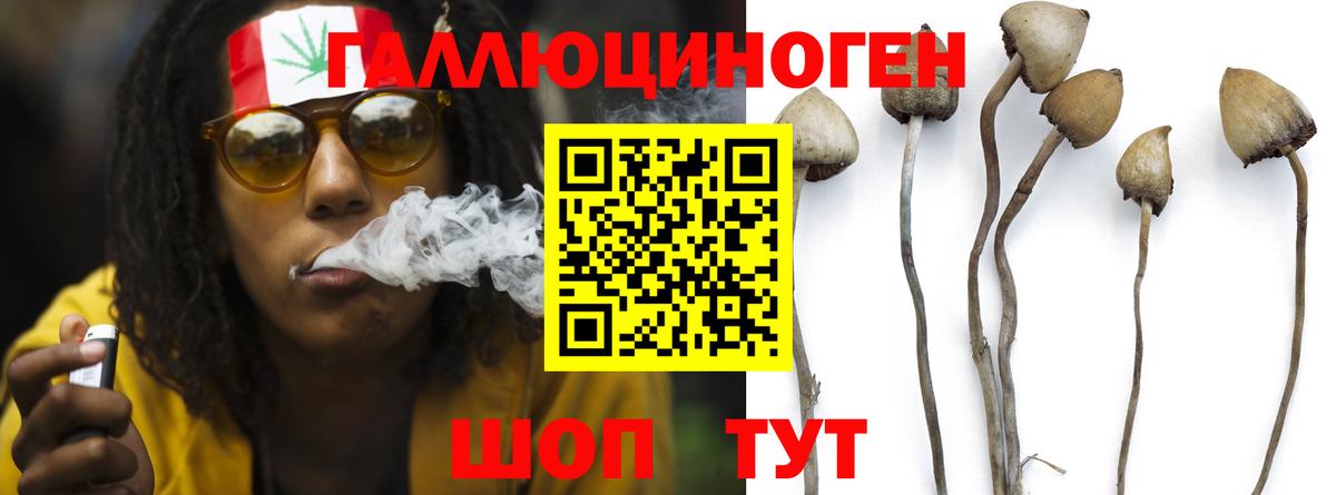 Галлюциногенные грибы мухоморы Нефтекумск